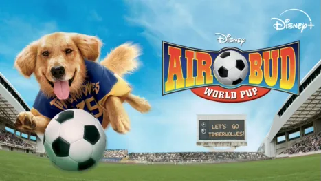 AirBud