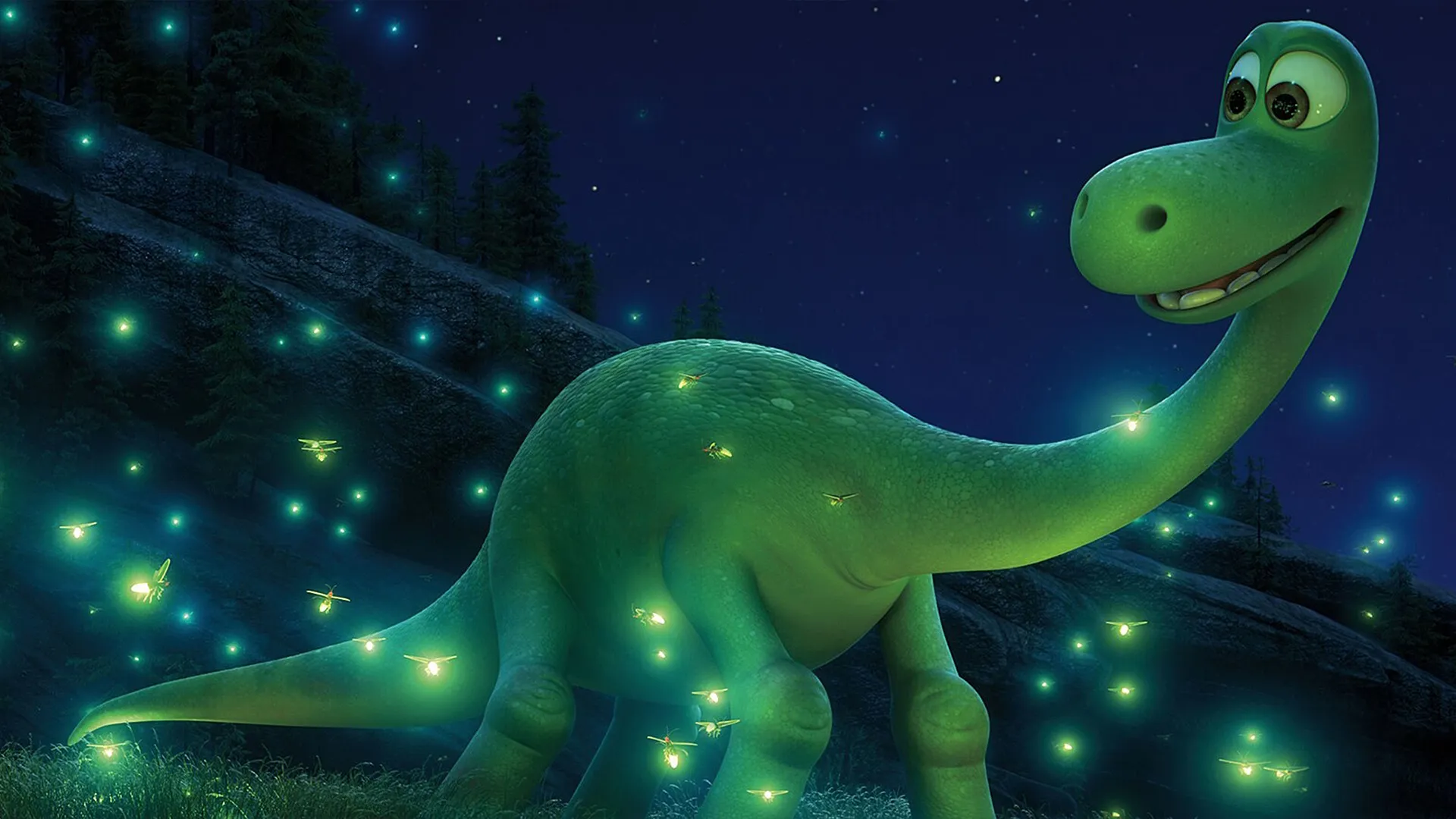 Arlo looks intrigued by the fireflies that surrounds him