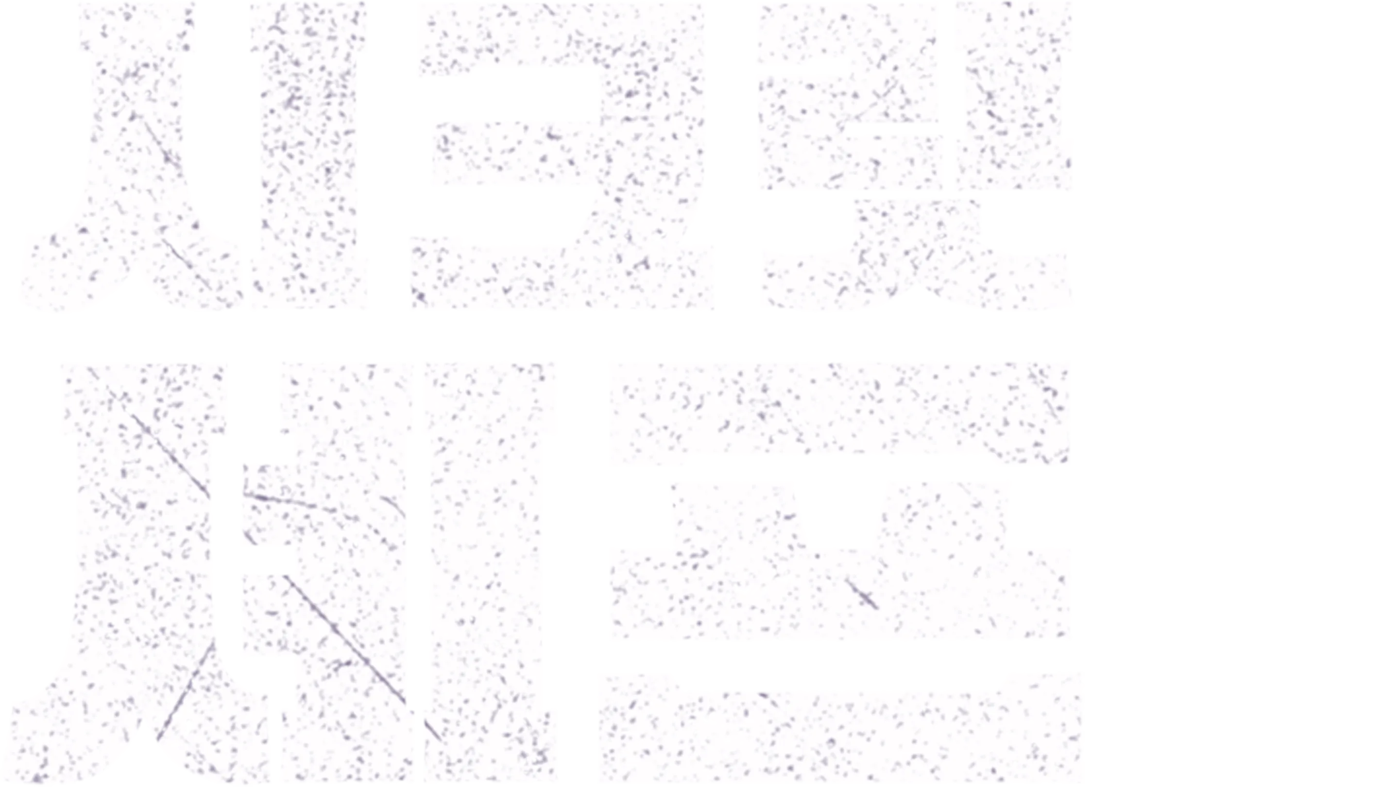 시크릿 셰프