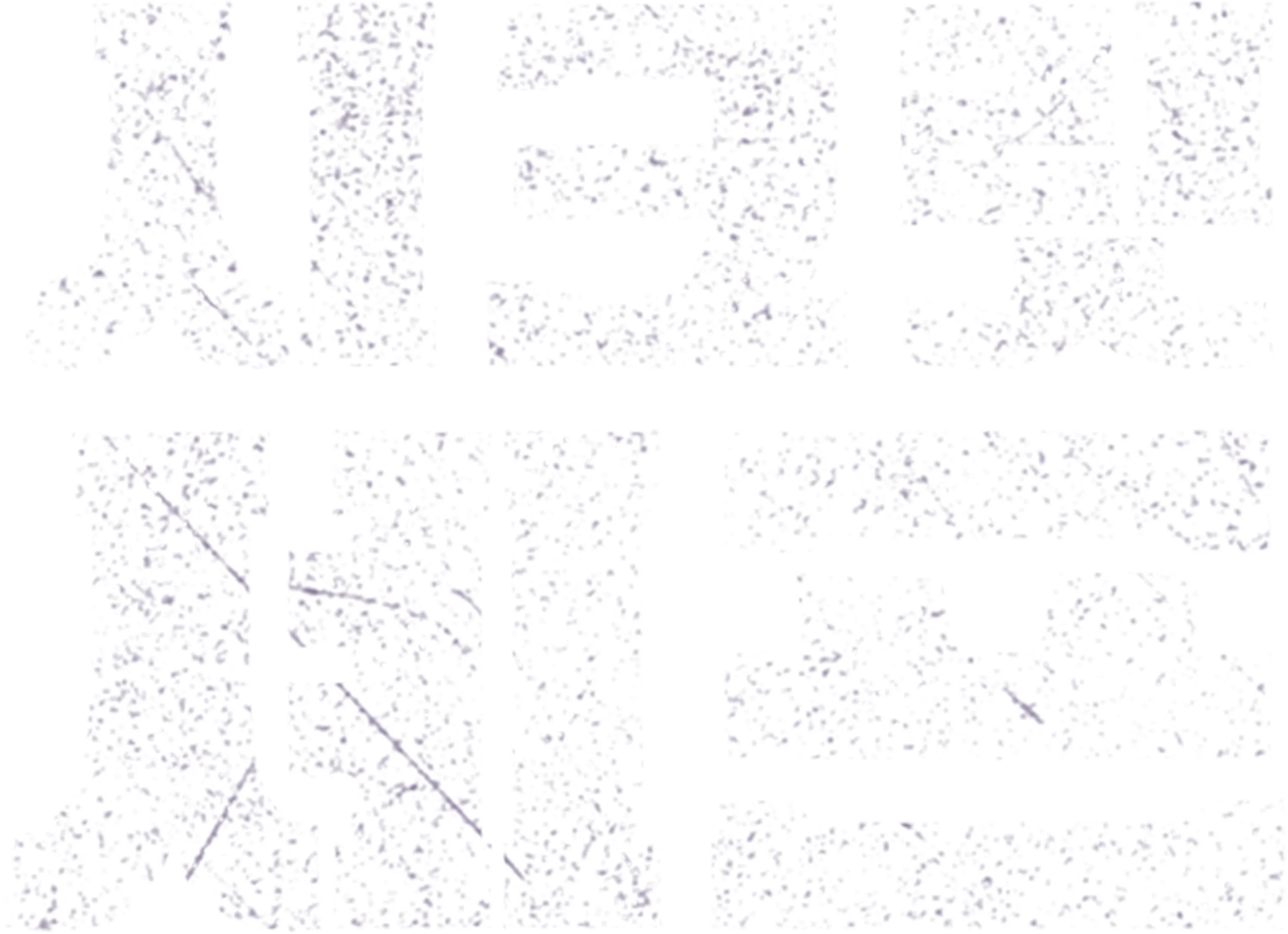 시크릿 셰프
