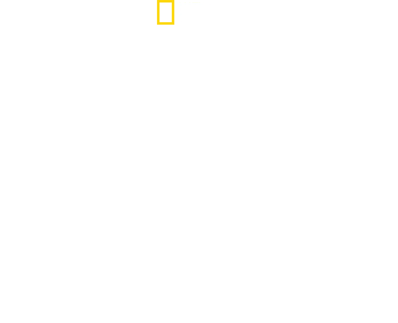 Hitlerin viimeinen taistelu
