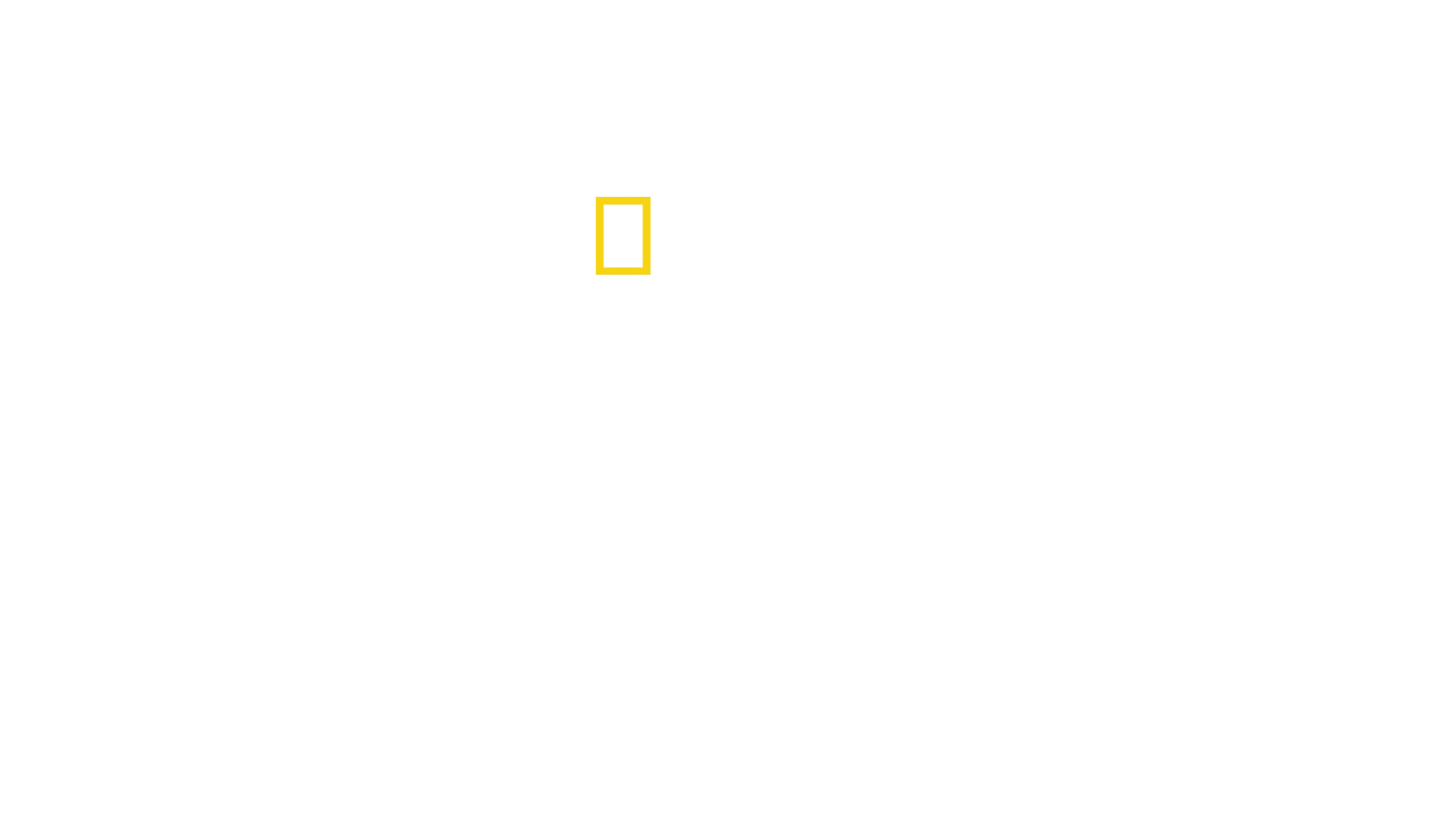 Alex Honnold ile Arktik Tırmanışı