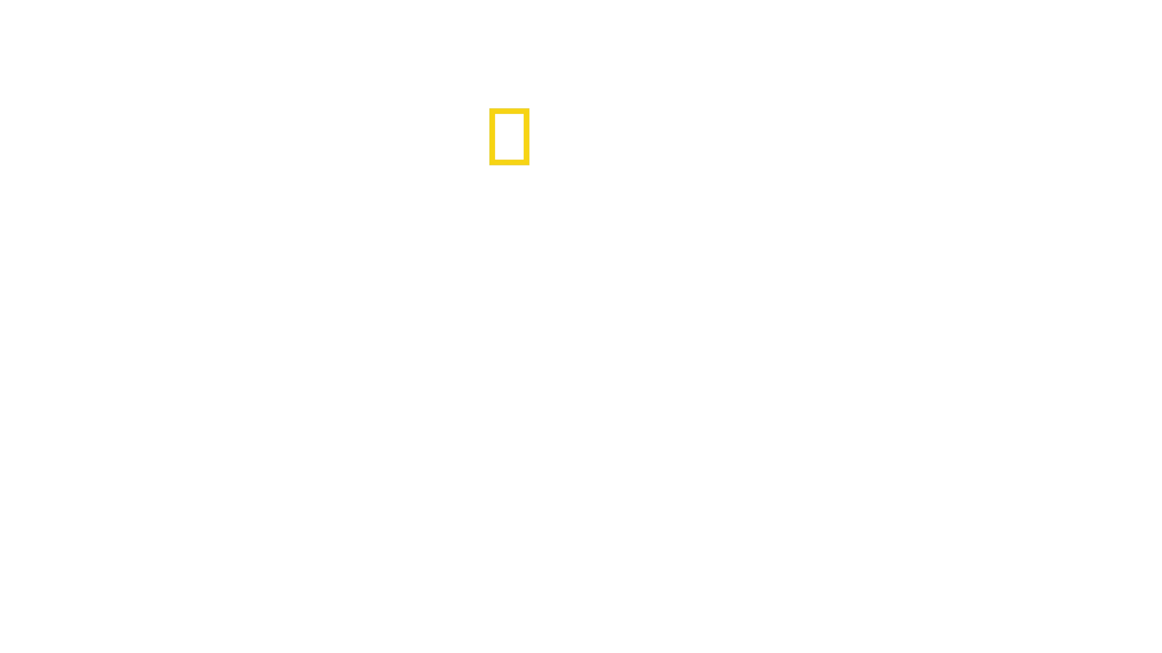 Una vita tra i ghepardi