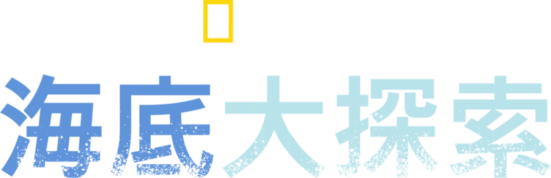 海底大探索
