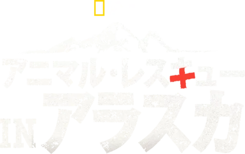 アニマル・レスキュー in アラスカ