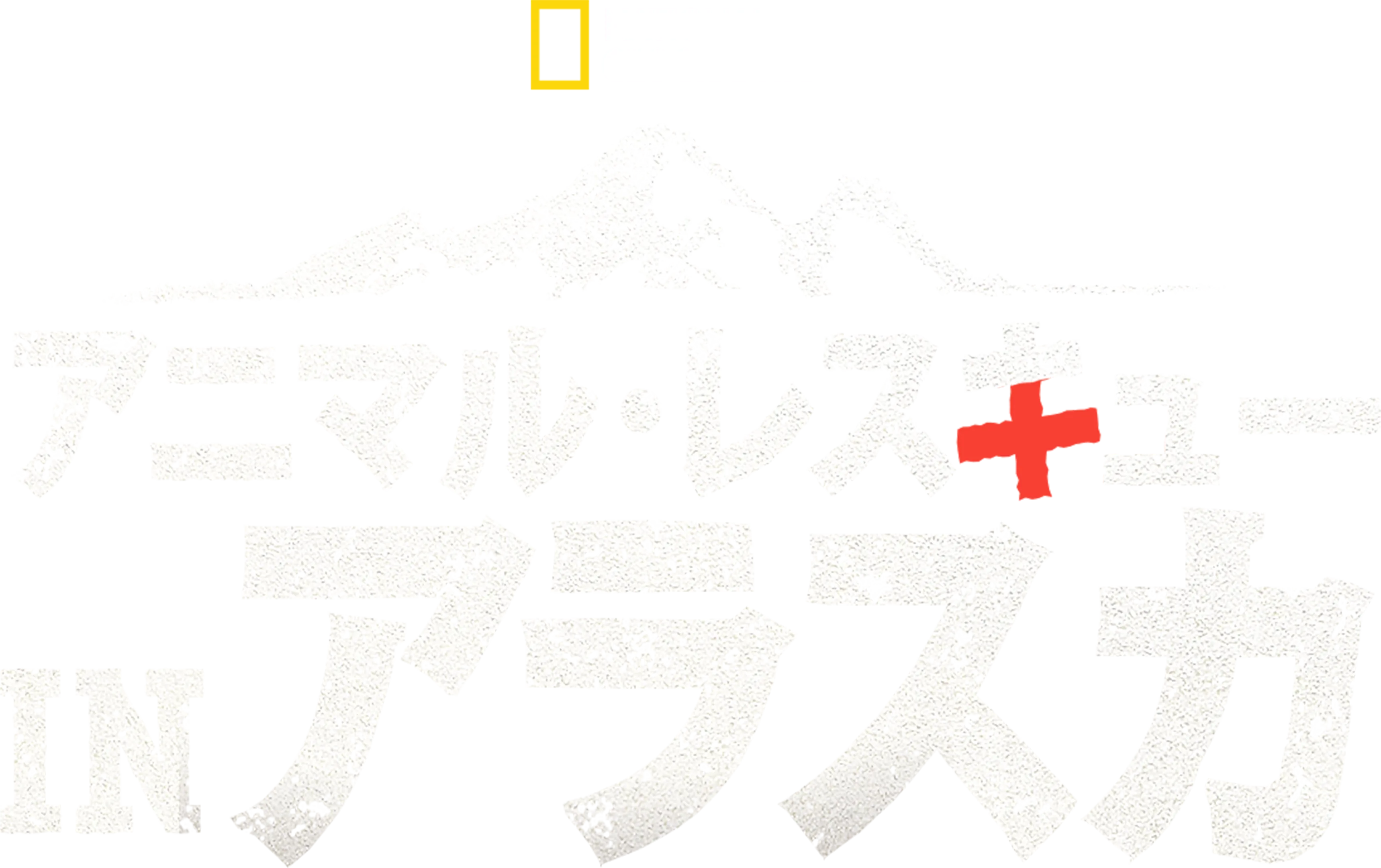アニマル・レスキュー in アラスカ