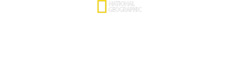 Secretos de las ballenas