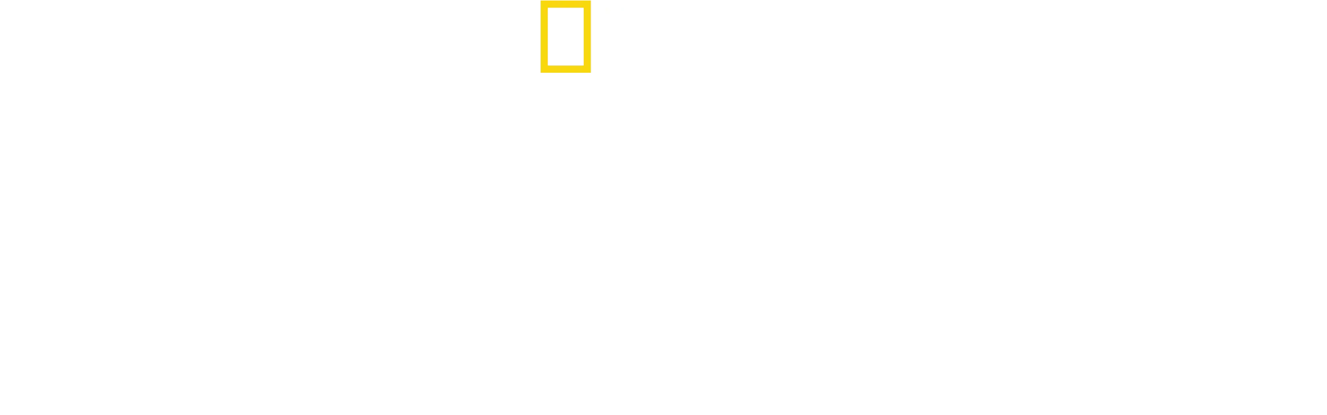 Secretos de las ballenas