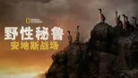 thumbnail - 野性秘鲁：安地斯战场