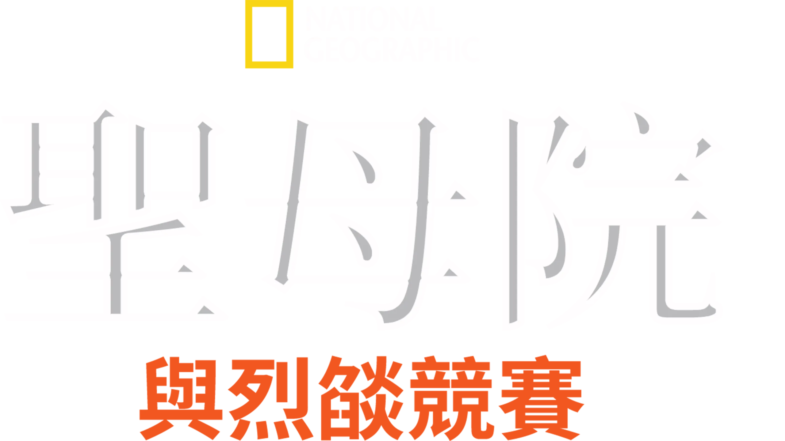 聖母院：與烈燄競賽