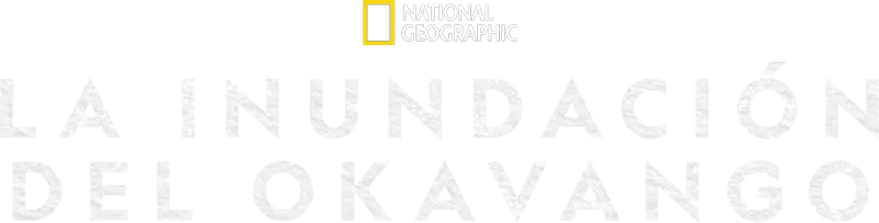 La inundación del Okavango