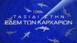 thumbnail - Ταξίδι στην Εδέμ των Καρχαριών