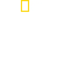 全彩少年法老