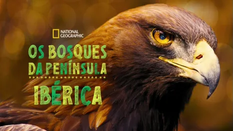 thumbnail - Os Bosques da Península Ibérica