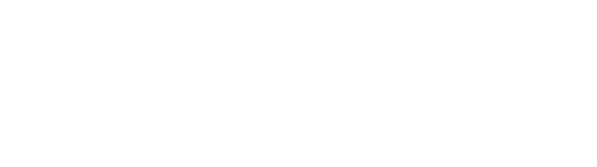 Net Worth