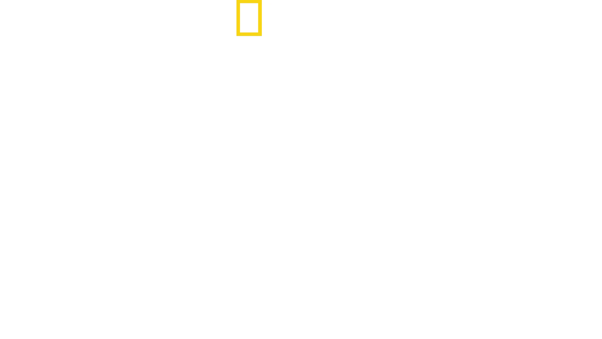 Stanford Hapishane Deneyi