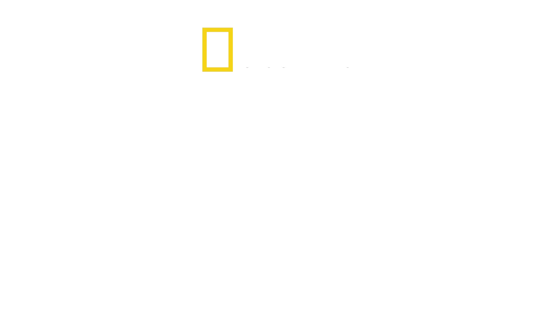 海洋護衛雅克庫斯托
