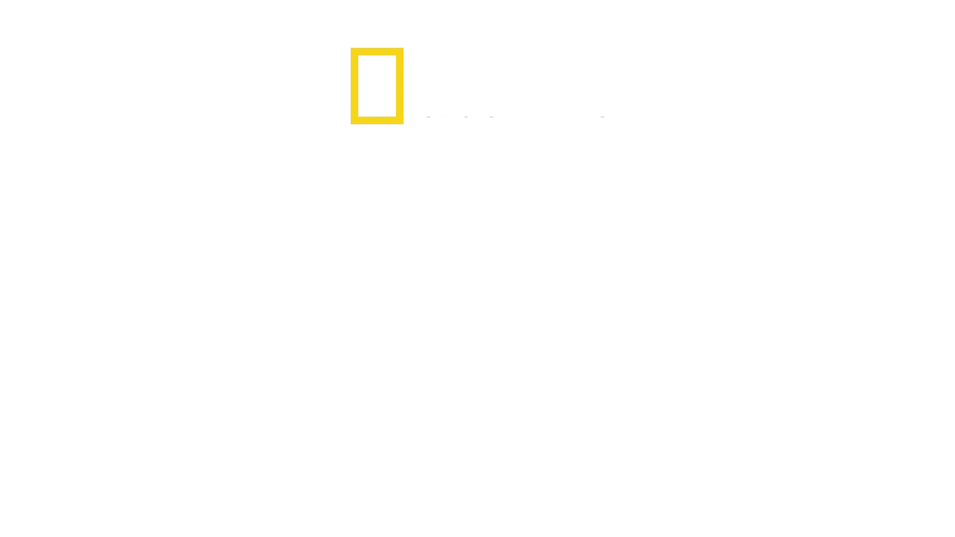 海洋護衛雅克庫斯托