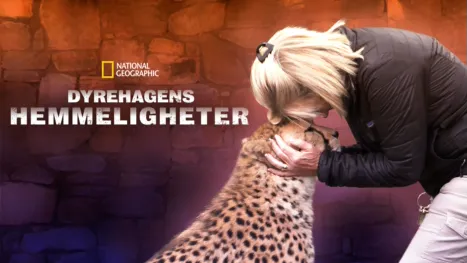 thumbnail - Secrets Of The Zoo