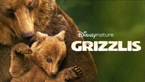 thumbnail - Grizzlis