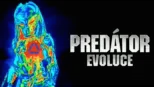 thumbnail - Predátor: Evoluce