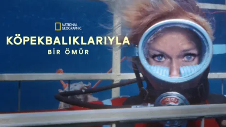 thumbnail - Köpekbalıklarıyla Bir Ömür