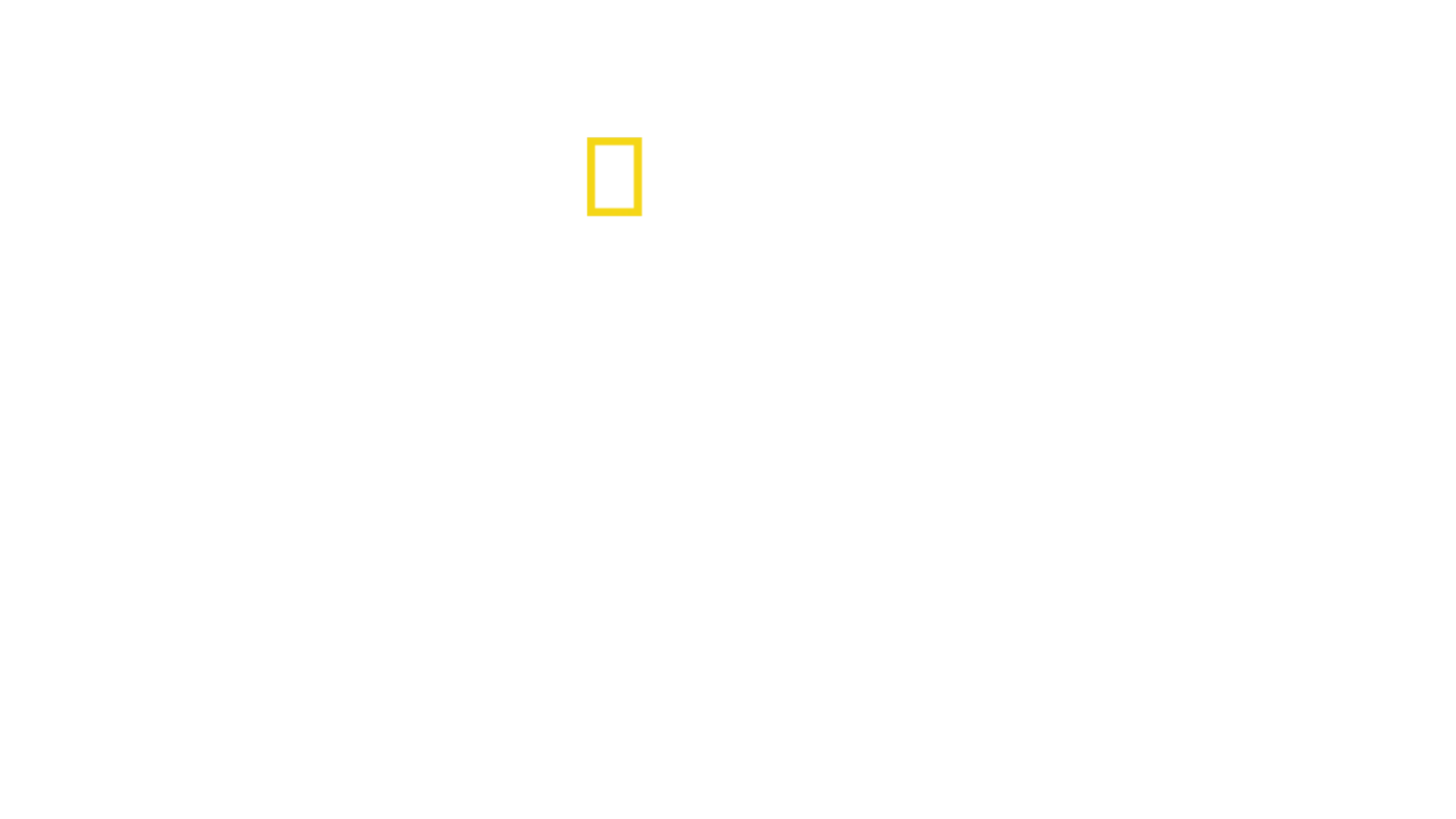 鸟类星球