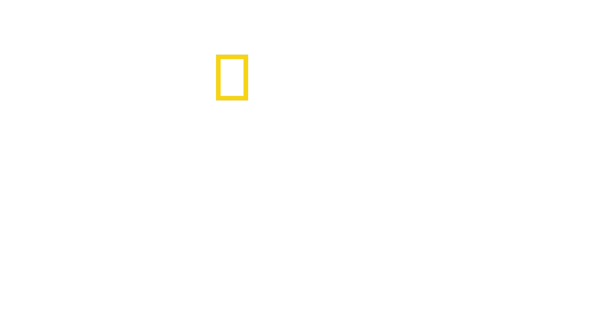 Tiburón: La historia de un clásico