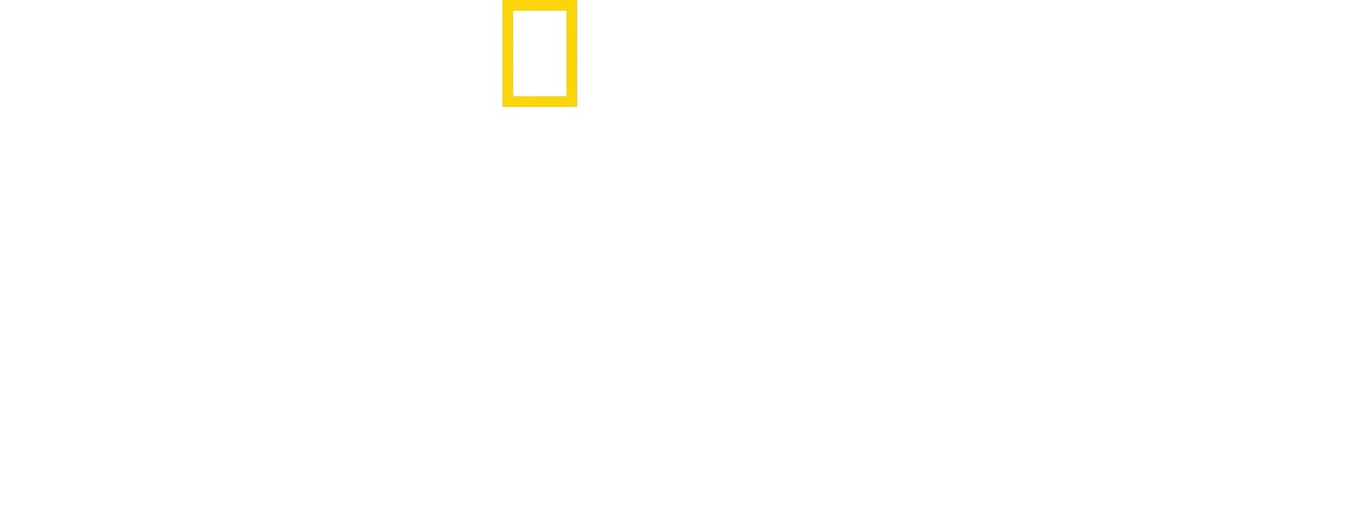 Tiburón: La historia de un clásico