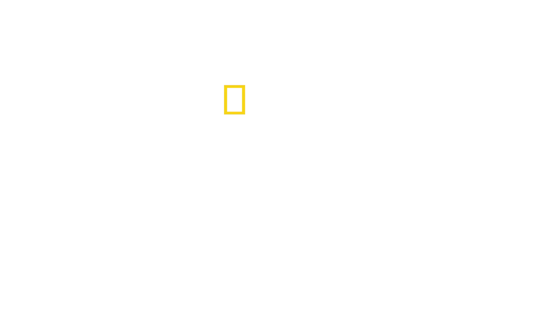 Top Guns: Yeni Jenerasyon