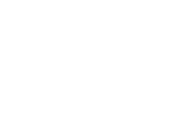 Divertida Mente