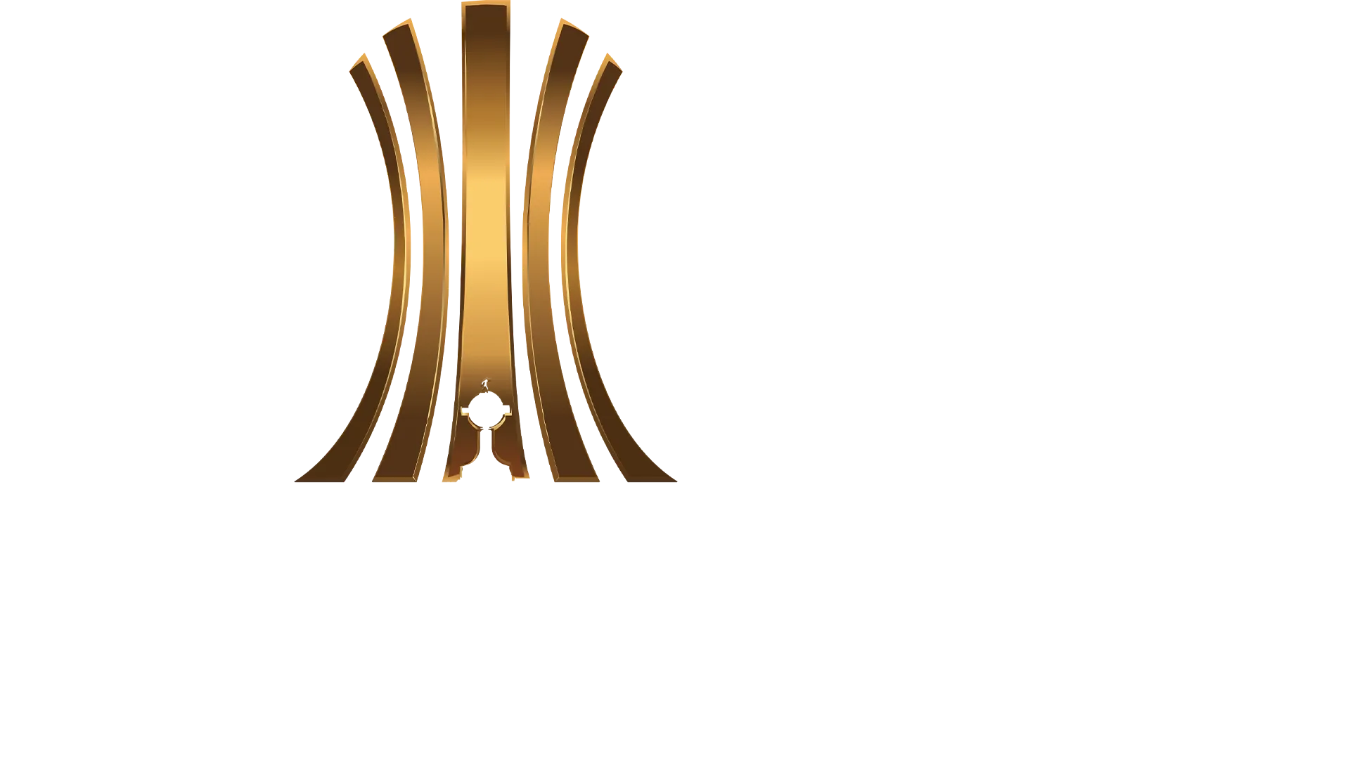 El Show de la Copa Libertadores