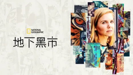 thumbnail - 地下黑市