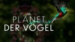 thumbnail - Planet der Vögel