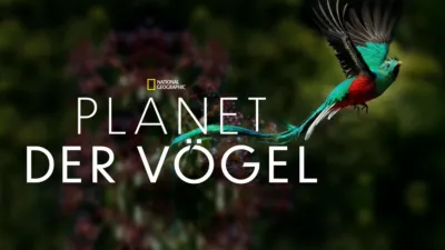 Planet der Vögel