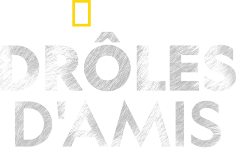 Drôles d'amis