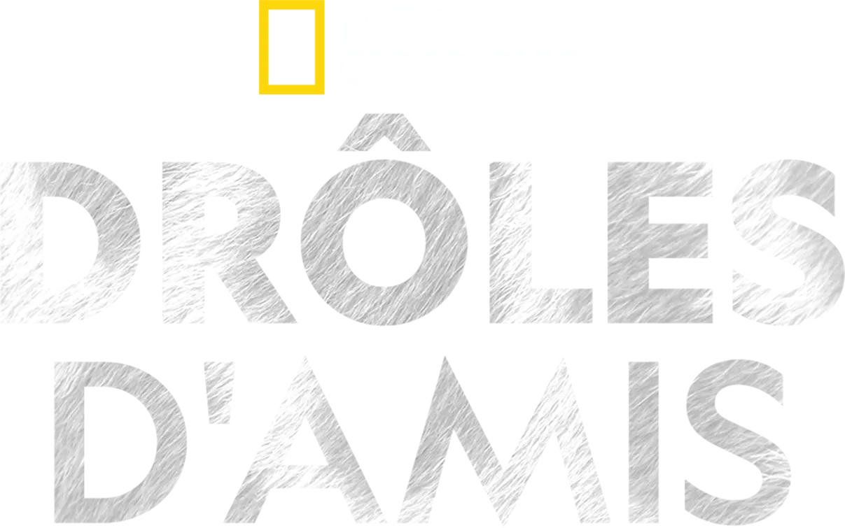 Drôles d'amis