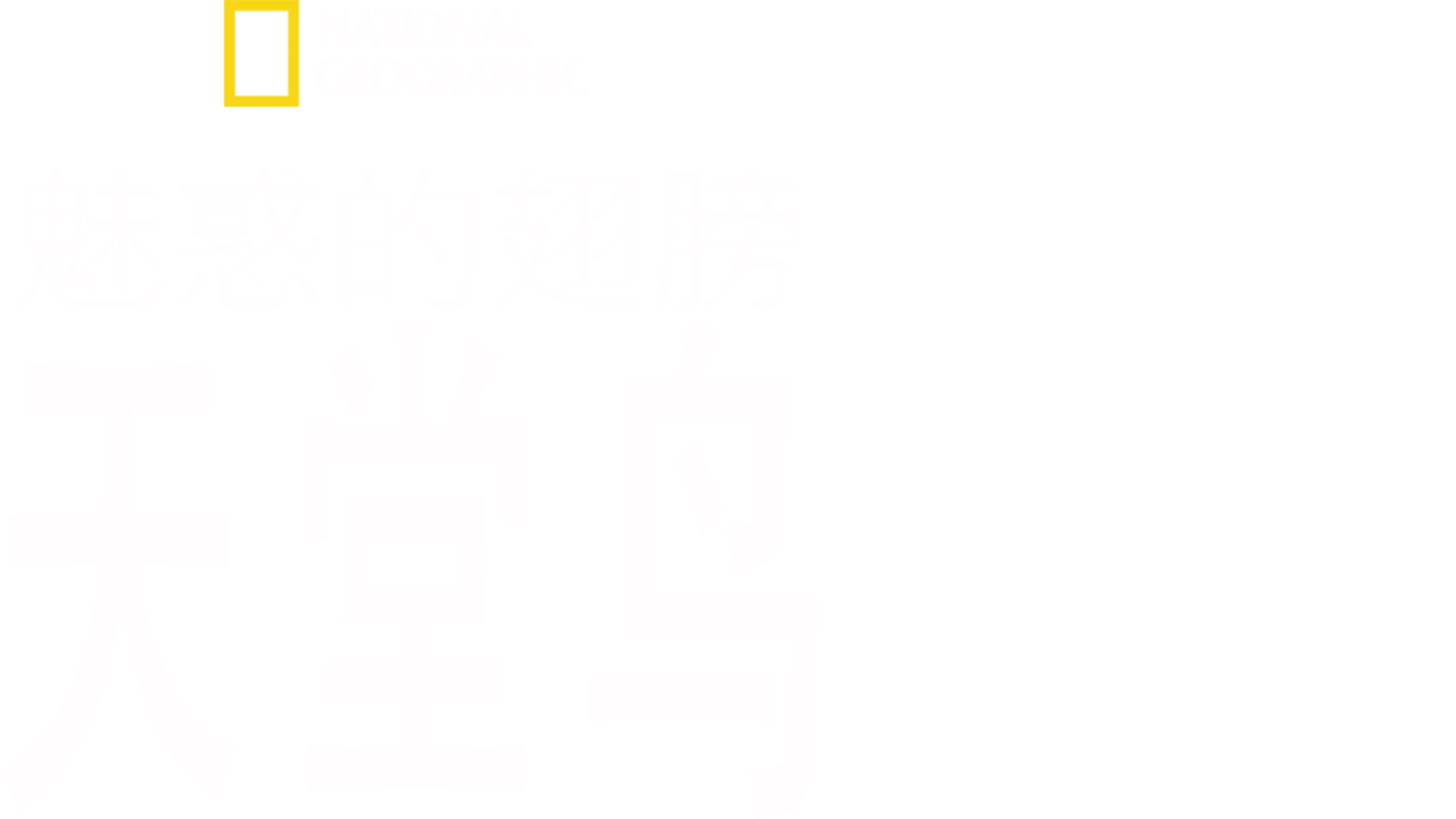 魅惑的翅膀：天堂鸟