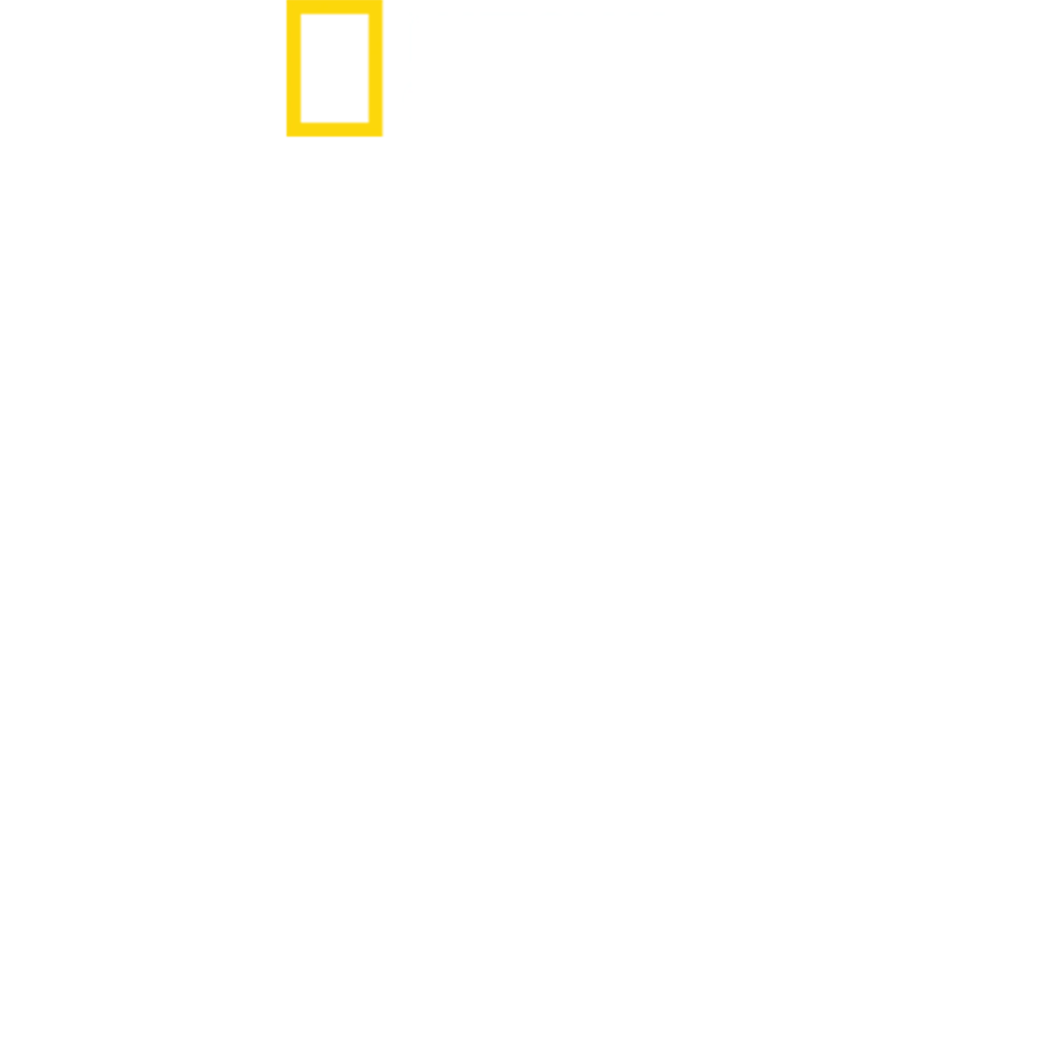 魅惑的翅膀：天堂鸟