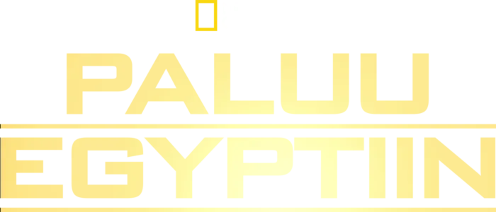 Paluu Egyptiin