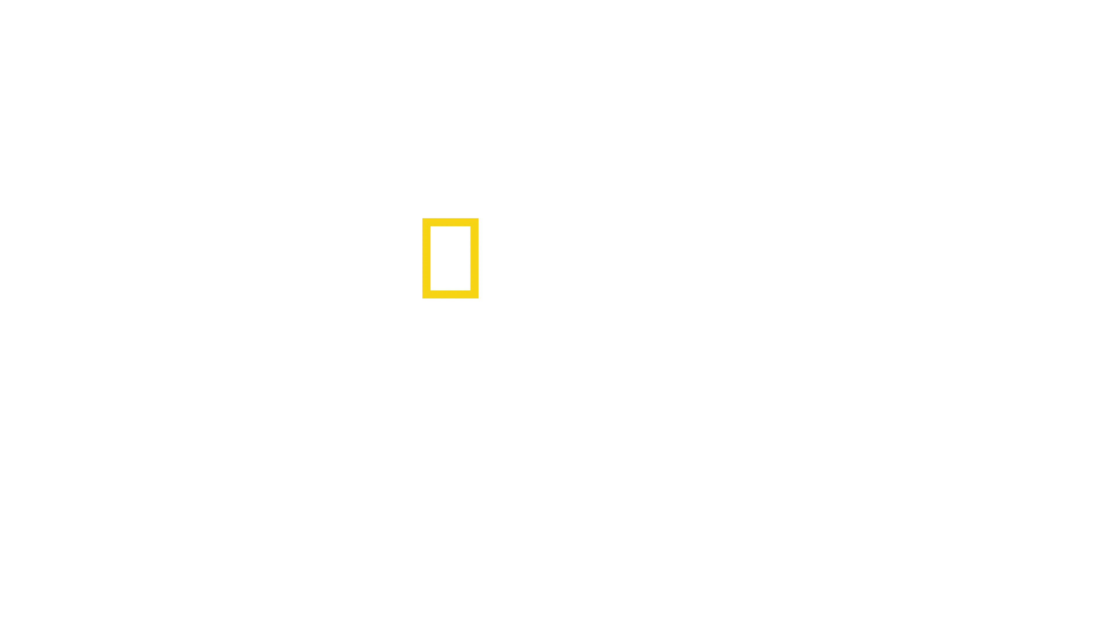 A fotózás mesterei