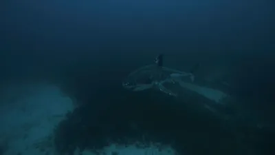 thumbnail - S1:E4 The Social Network