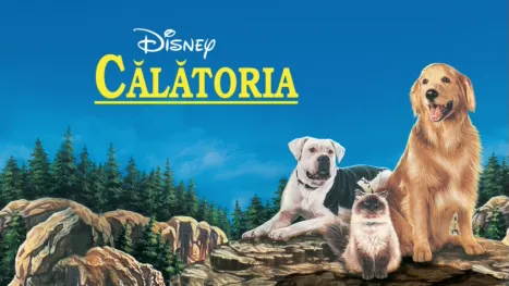 thumbnail - Călătoria