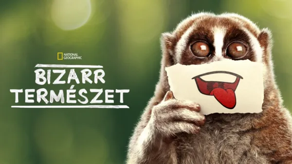 thumbnail - Bizarr természet
