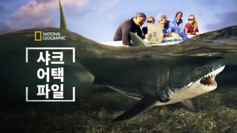 thumbnail - 샤크 어택 파일