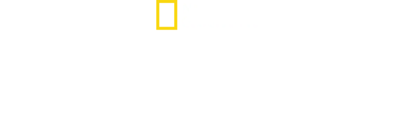 A Vida Secreta Dos Chimpanzés