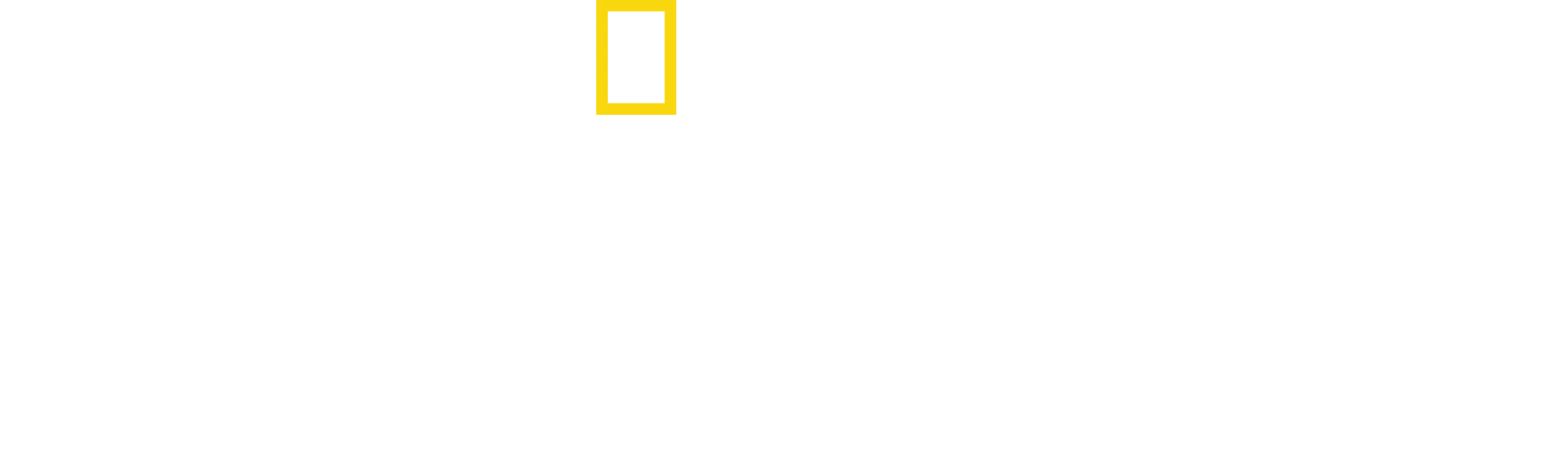 A Vida Secreta Dos Chimpanzés
