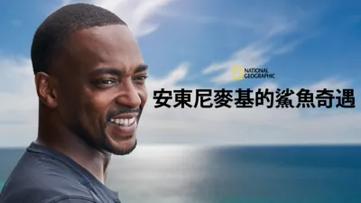 安東尼麥基的鯊魚奇遇