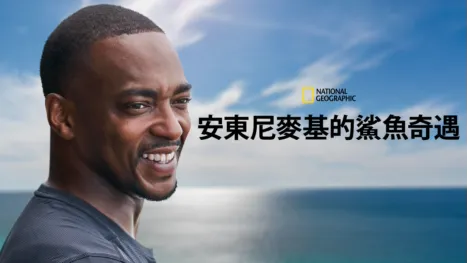 thumbnail - 安東尼麥基的鯊魚奇遇