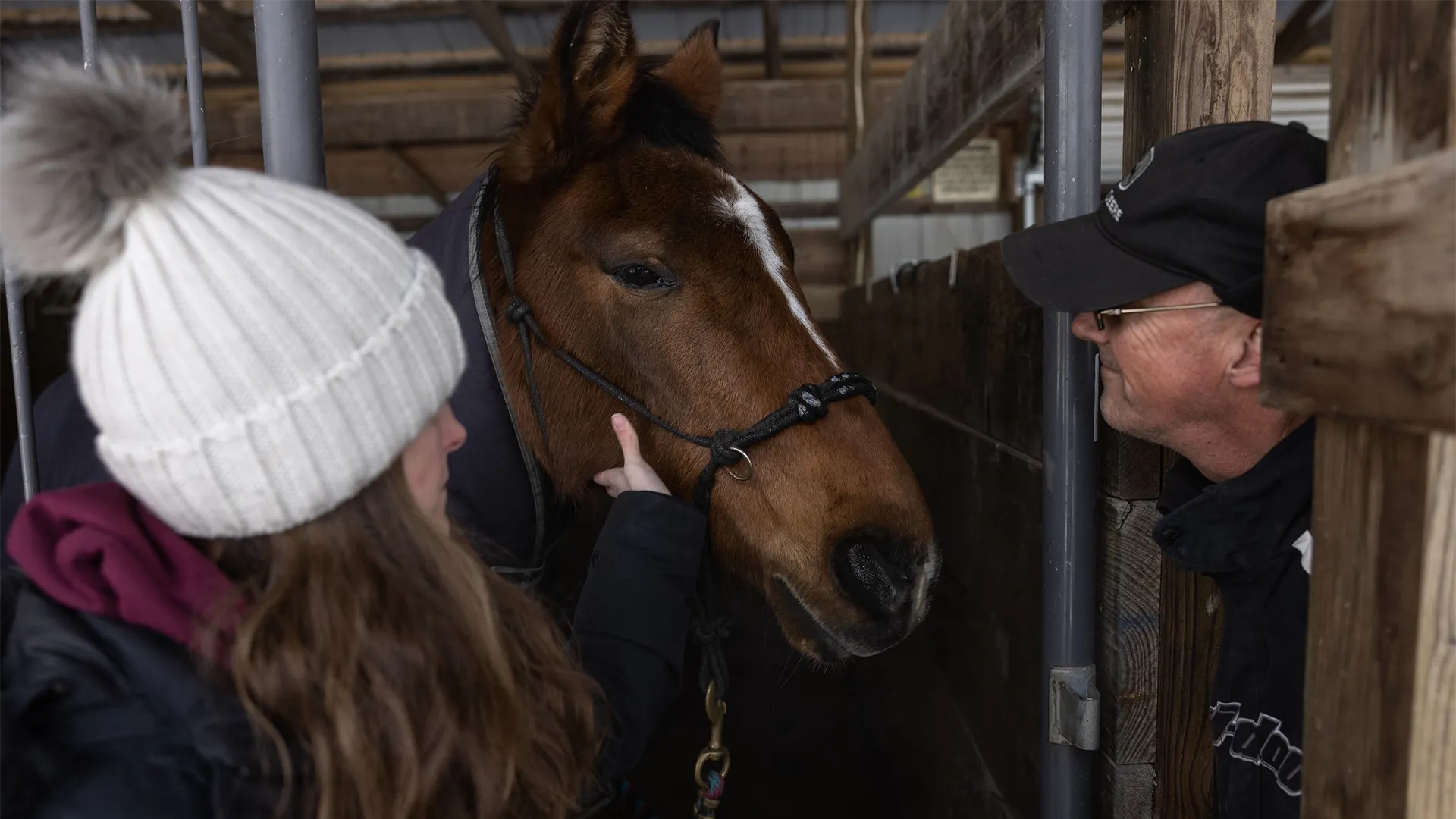 thumbnail - S22:E3 Dr. Pol-Ar Express